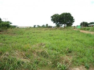 Land for planned Food for People facility in Otinibi