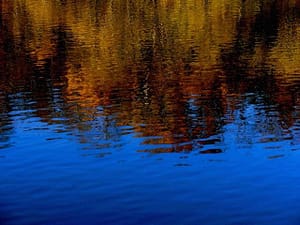 "Autumn River"   Barbara Gibbs, Photographer