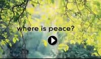 Où est la paix ?