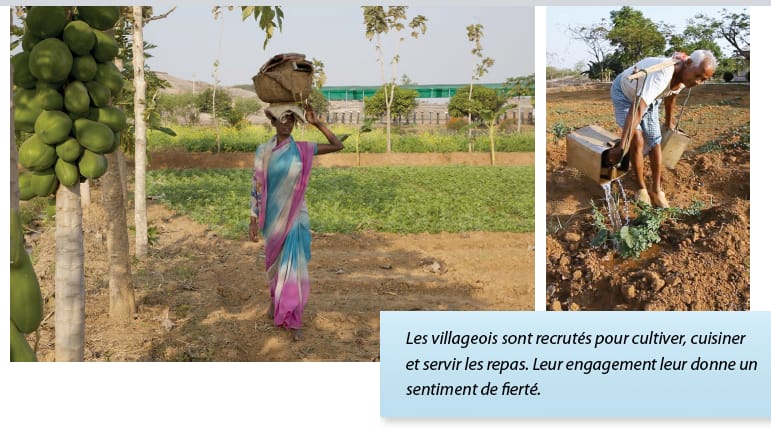 Rapport annuel 2014