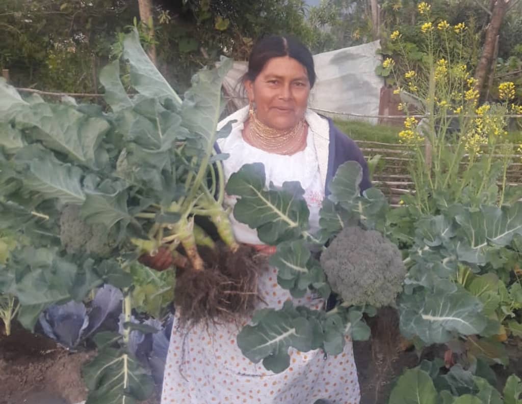 A beneficiary of Seeds of Hope harvests broccoli and other vegetables