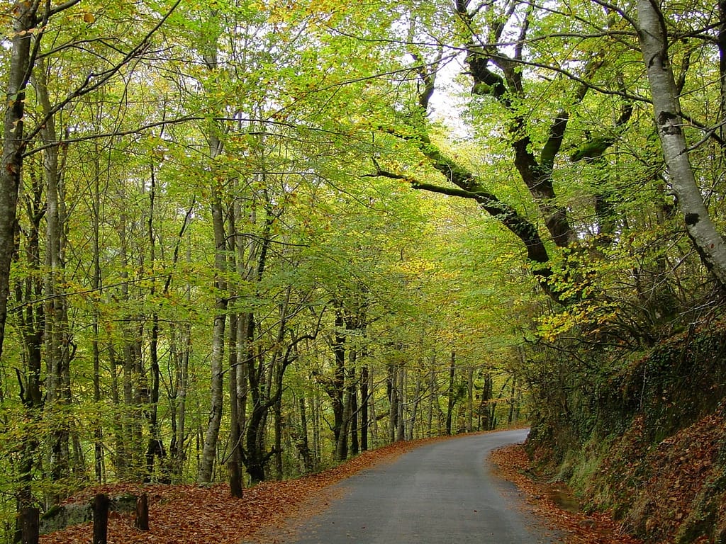 Spring-road-1024×768