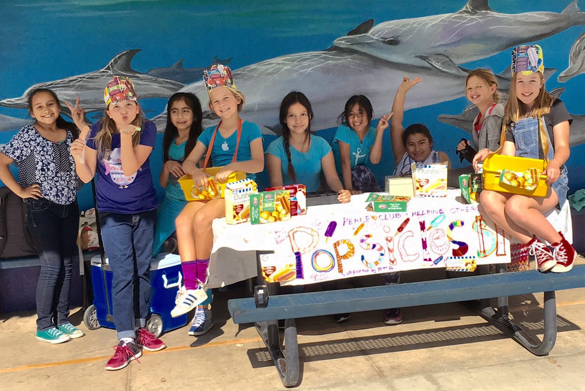 popsicles fundraiser