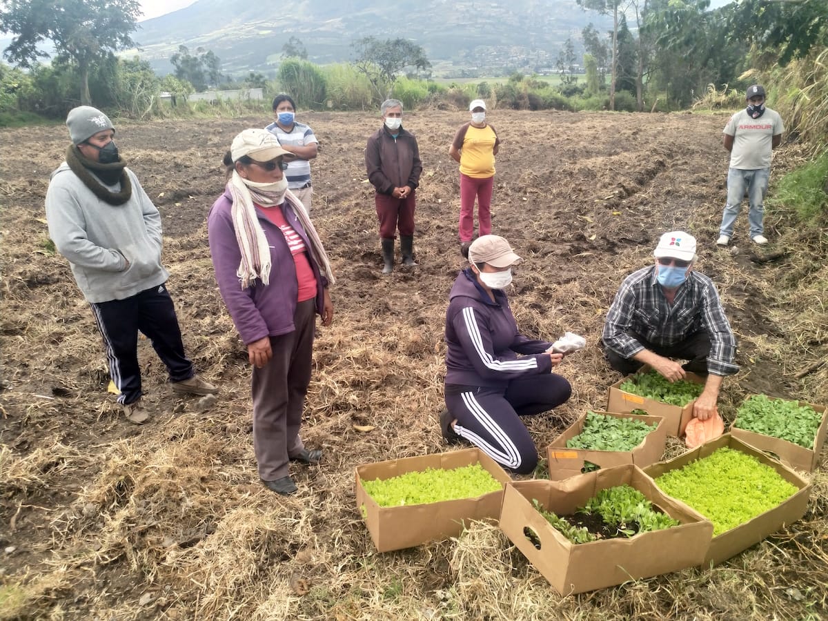 A gardening session as part of the Seeds of Hope project