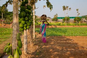 Back to Bantoli (Part One) - TPRF.org