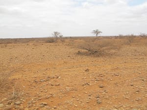 No Rain Produces Arid Conditions